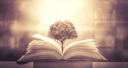 为什么移动硬盘不显示