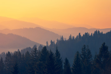 为什么移动硬盘不显示