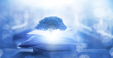 太原拍婚纱照哪里比较好一些 太原拍婚纱照的外景