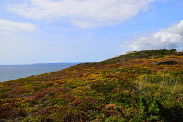 小学生五年级分数口算题（有答案的）50道？