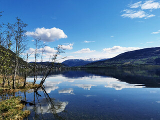 有关国旗的诗歌