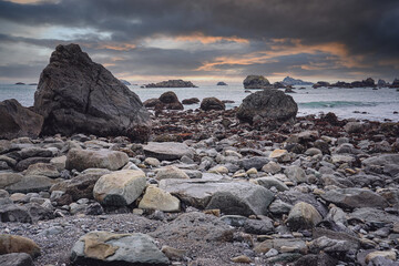 为什么移动硬盘不显示