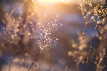 有关国旗的诗歌