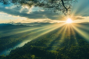 为什么移动硬盘不显示