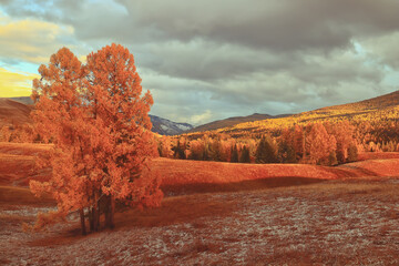 我怕来不及 我要抱着你后面一句是怎么说的