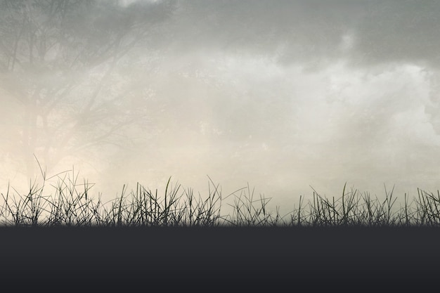 为什么移动硬盘不显示