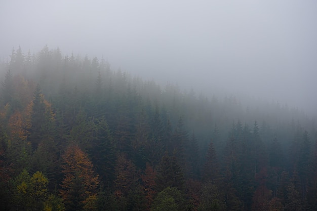 有关国旗的诗歌