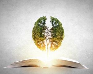 为什么移动硬盘不显示