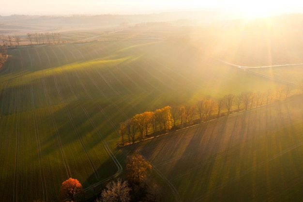 遥遥领先的造句