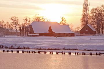 为什么要在正月十五日看花灯。
