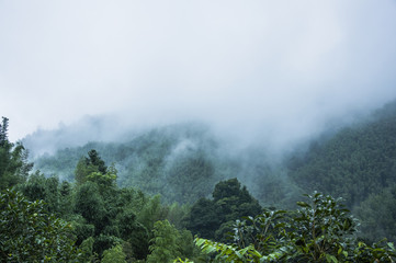 有关国旗的诗歌